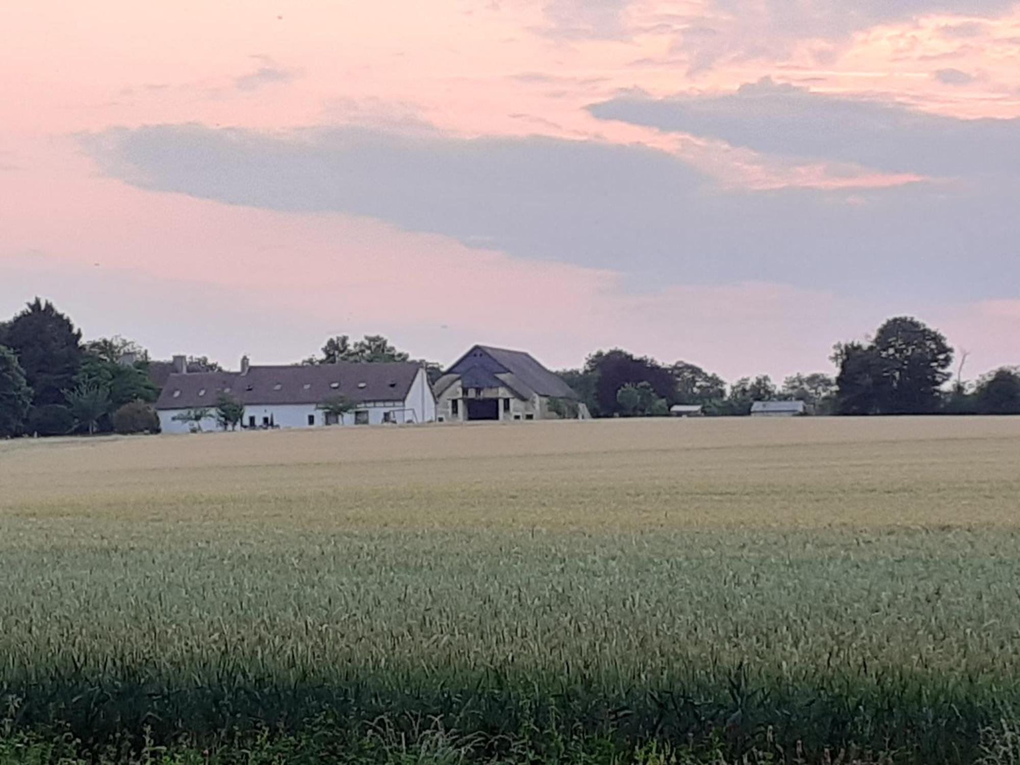 Gite Et Chambre D'Hotes Du Guillot Sainte-Solange Exteriér fotografie