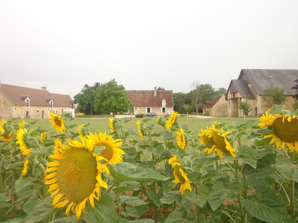 Gite Et Chambre D'Hotes Du Guillot Sainte-Solange Exteriér fotografie